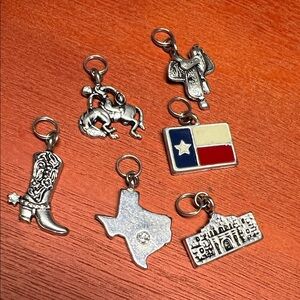 Assorted Texas Charms 6